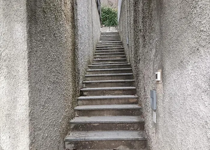 Incanto فيلة